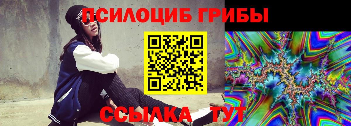 Псилоцибиновые грибы Psilocybe  Вход с VPN  Галлюциногенные грибы прущие грибы  Мценск 